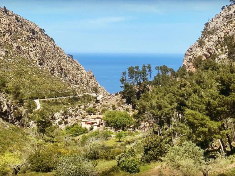 Finca Ses Fontanelles