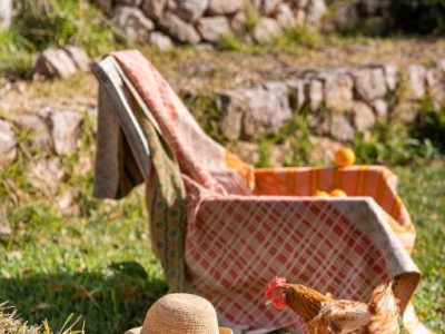 Agroturismo Son Viscos