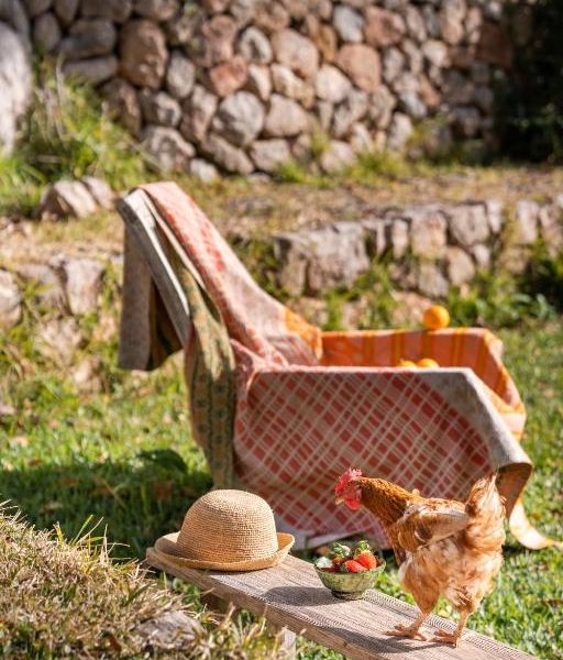 Agroturismo Son Viscos