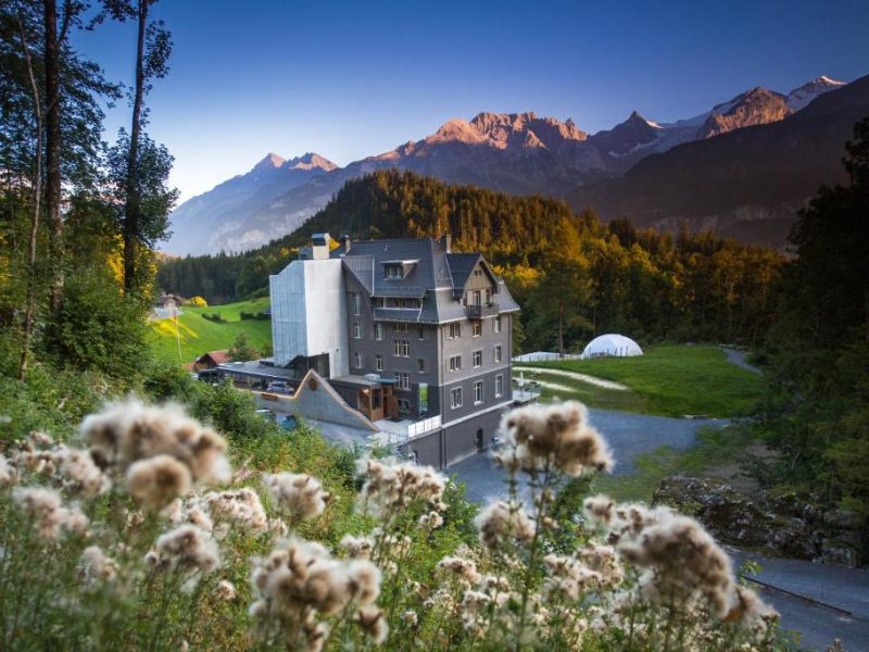 Apart Hotel Wetterhorn
