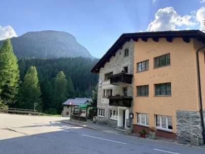 Hotel Alp Sur