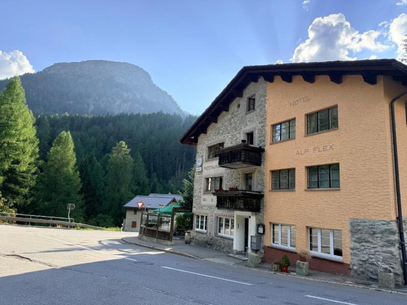 Hotel Alp Sur
